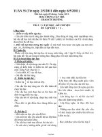 Giáo án giảng dạy Tuần 35 Lớp 3