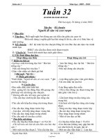 Giáo án các môn khối 3 - Tuần 32 năm 2010