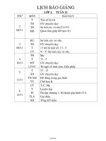 Giáo án môn học khối 2 - Tuần lễ 12 năm học 2010