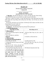 Giáo án Lớp 3 - Tuần 13 - Trường tiểu học Tân Châu