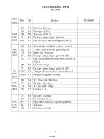 Giáo án các môn học lớp 2 - Tuần lễ 17 năm 2010