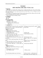 Giáo án Tập đọc Lớp 3 - Tuần 14