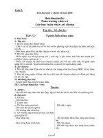 Giáo án Tổng hợp Lớp 3 - Tuần 5 - Năm học 2006-2007