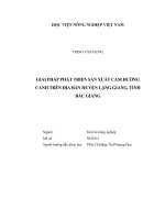 Giải pháp phát triển sản xuất cam đường canh trên địa bàn huyện lạng giang, tỉnh bắc giang   