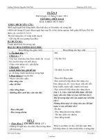 Giáo án Tổng hợp các môn học lớp 2 - Trường Tiểu học Lê Văn Tám - Tuần 5