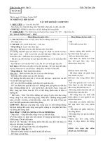 Giáo án Các môn phụ Lớp 3 - Tuần 33, 34, 35 - GV: Trần Thị Kim Liên