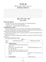 Giáo án dạy Khối 1 - Tuần 24