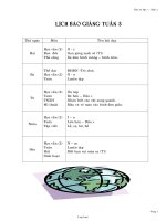 Giáo án Tống hợp các môn lớp 1 - Tuần 2