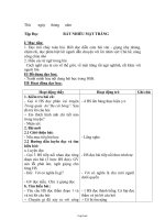 Giáo án Tổng hợp Lớp 3 - Tuần 17 (3 cột)