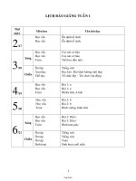 Giáo án Lớp 1 - Tuần 1 - Năm học 2009-2010 (Bản mới)