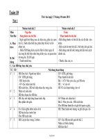 Giáo án lớp ghép lớp 2 và lớp 3 - Tuần 10 - Trường Tiểu học Cát Thịnh