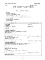 Giáo án Tổng hợp các môn học lớp 2 - Tuần số 6 năm 2010