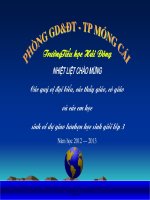 Giáo án Đại số 6 - Tiết 99: Luyện tập 2