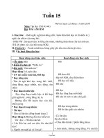 Giáo án các môn học khối 2 - Tuần thứ 15 năm học 2010 (chuẩn)