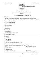 Giáo án lớp 3 - Tuần 1 - Trường Tiểu học Thanh Phong