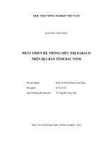 Phát triển hệ thống siêu thị dabaco trên địa b àn tỉnh bắc ninh   