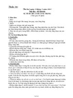 Giáo án tổng hợp lớp 3 - Tuần thứ 34 năm 2011