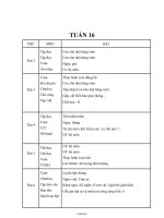 Giáo án các môn học lớp 2 - Tuần lễ 16 năm 2012