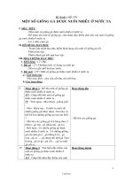 Giáo án Các môn phụ Lớp 5 Tuần 17