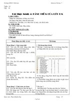 Giáo án môn Tin học 7 tiết 19: Bài thực hành 4: bảng điểm của lớp em