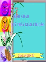 Bài giảng Đại số 8 tuần 12, tiết 23, bài 2: Tính chất cơ bản của phân thức