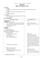 Giáo án lớp 2 môn Chính tả - Bóp nát quả cam