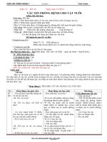 Giáo án Công nghệ 7 tiết 42: Văc-Xin phòng bệnh cho vật nuôi