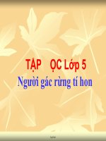 Bài giảng Tập đọc Lớp 5 - Tiết 25, Tuần 13: Người gác rừng tí hon