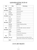 Thiết kế bài dạy tổng hợp các môn lớp 2 - Tuần 15