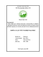 Thực hiện quy trình chăm sóc, nuôi dưỡng và phòng trị bệnh cho đàn lợn nái sinh sản nuôi tại trang trại bùi huy hạnh xã tái sơn, huyện tứ kỳ, tỉnh hải dương 