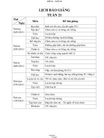 Thiết kế bài dạy lớp 2 - Tuần học 21