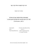 Đánh giá đặc điểm nông sinh học và đa dạng di truyền nguồn gen cây ý dĩ (coix lacryma   jobi l )   