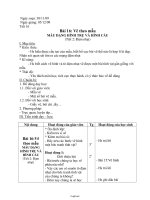 Giáo án Mĩ thuật 6 - Tiết 16, Bài 16: Vẽ theo mẫu Mẫu dạng hình trụ và hình cầu (Tiết 2: Đậm nhạt) - Năm học 2009-2010