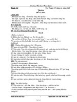 Giáo án Tổng hợp các môn khối 1 - Trường Tiểu học Tùng Lâm - Tuần 32, 33, 34