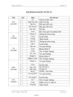 Giáo án Lớp 3 Tuần 11 - GV: Đặng Thị Hà