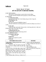 Giáo án Mỹ thuật 7 tuần 20: Vẽ tranh: Đề tài giữ gìn về sinh môi trường