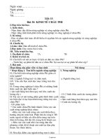 Giáo án lớp 7 môn Địa lí - Tiết 33 - Bài 30: Kinh tế châu Phi