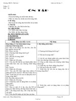 Giáo án môn Tin học 7 tiết 33: Ôn tập