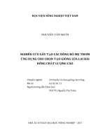 Phát triển các dòng thuần phục vụ chọn tạo giống ngô lai cho điều kiện canh tác nhờ nước trời của miền bắc, việt nam  luận án tiến sĩ  di truyền và chọn giống cây trồng 62 62 01 11 