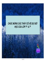 Bài giảng Hình học khối 7 - Luyện tập tính chất ba đường trung tuyến một tam giác