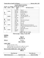 Thiết kế bài dạy lớp 2 - Tuần 11 - Trường tiểu học Nguyễn Tri Phương