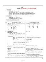 Giáo án môn Toán khối 3 tuần 6