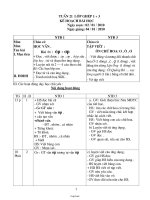 Giáo án Ghép Lớp 1 + 3 Tuần 21 - GV: Hoàng Thị Bạch