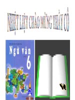 Bài giảng môn Ngữ văn 6 - Tiết dạy 84: So sánh