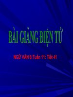 Bài giảng môn Ngữ văn lớp 6 - Tiết 41: Danh từ (tt)