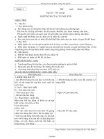 Giáo án Tiếng việt 3 tuần 13 - Phạm Thị Hoa - Trường Tiểu học Vĩnh Phước 1