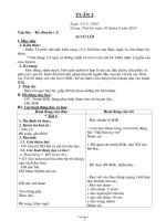 Giáo án Lớp 3 - Tuần 2 - Năm học 2010-2011 (Chuẩn kiến thức kỹ năng mới)