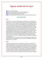 Bài tập môn Ngữ Văn Lớp 6 - Tập làm văn bài viết số 2