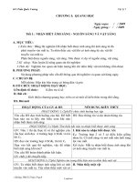 Giáo án môn học Đại số lớp 7 - Tiết 69, 70: Chương trình ngữ văn địa phương