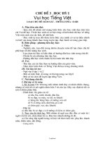 Giáo án tự chọn Ngữ văn 8 - Chủ đề 3: Vui học tiếng việt